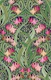Ornamental Hothouse Botanica Fuchsia dark