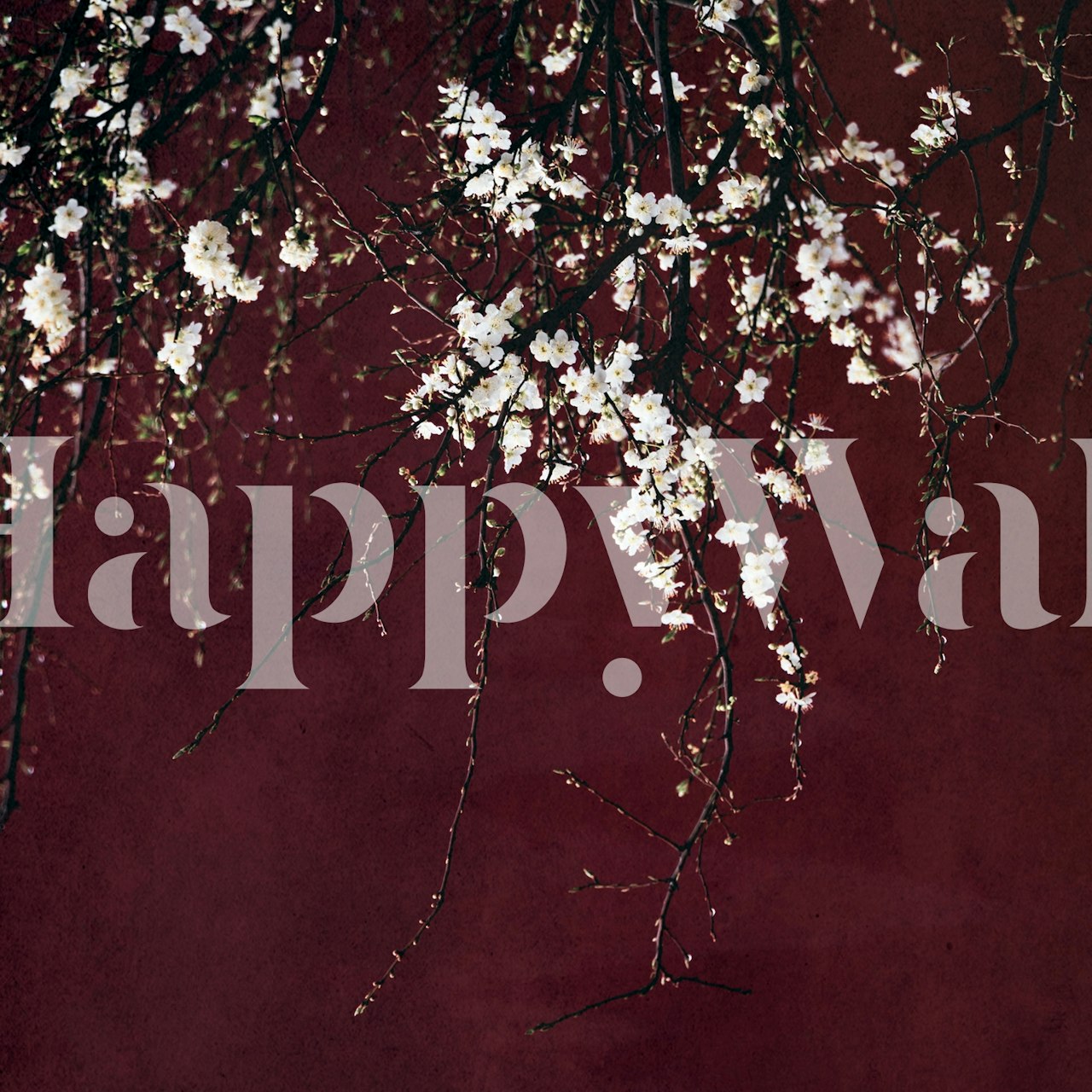 White flowers on red background wallpaper