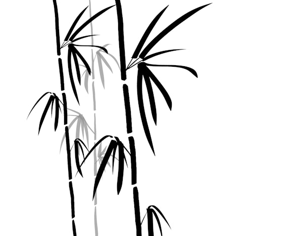 Black White Bamboo Silhouette