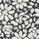 Charcoal Daisy Rose Blooms