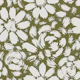 Sage Green Daisy Rose Blooms