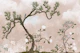 Soft Pastel Pine Tree Landscape Chinoiserie