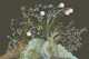 Moody Botanical Garden Birds Chinoiserie