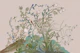 Chinoiserie Garden Birds and Trees