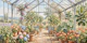 Sunlit French Greenhouse Garden