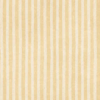 Nira Stripe sunny yellow ochre white tapet