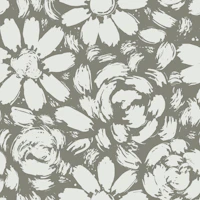 Taupe Daisy Rose Blooms tapeta