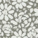 Taupe Daisy Rose Blooms