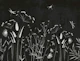 Wildflowers and Dragonflies in Black
