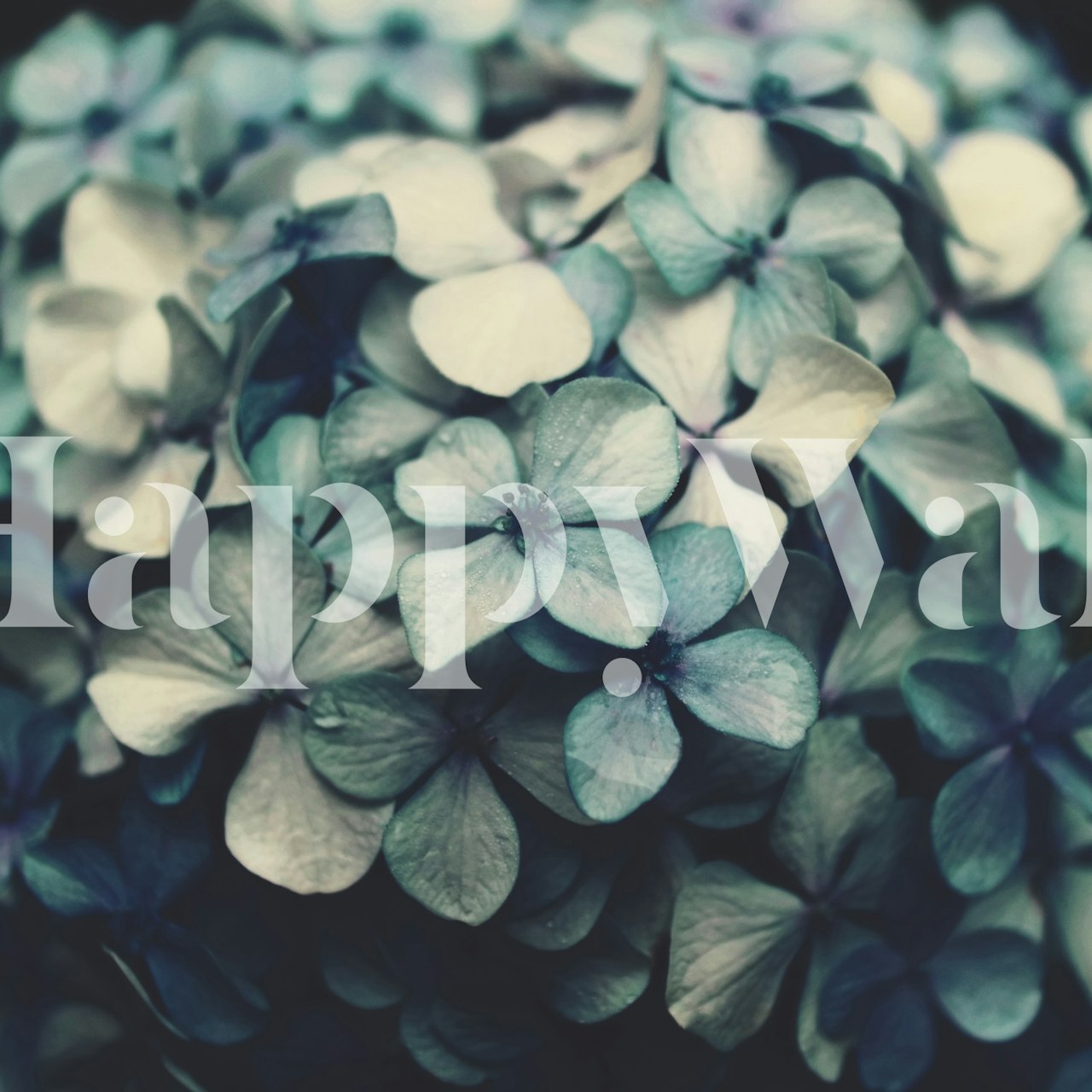 Carta da parati floreale blu scuro in una stanza