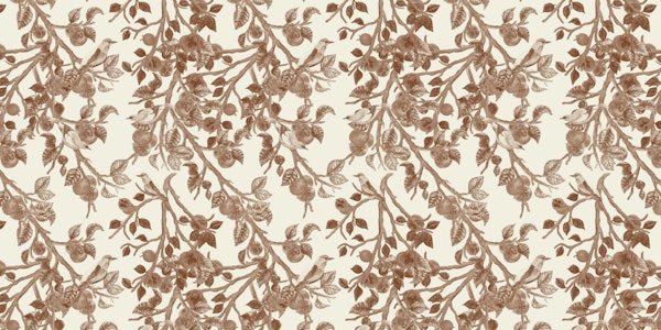 Persimmons In Sienna