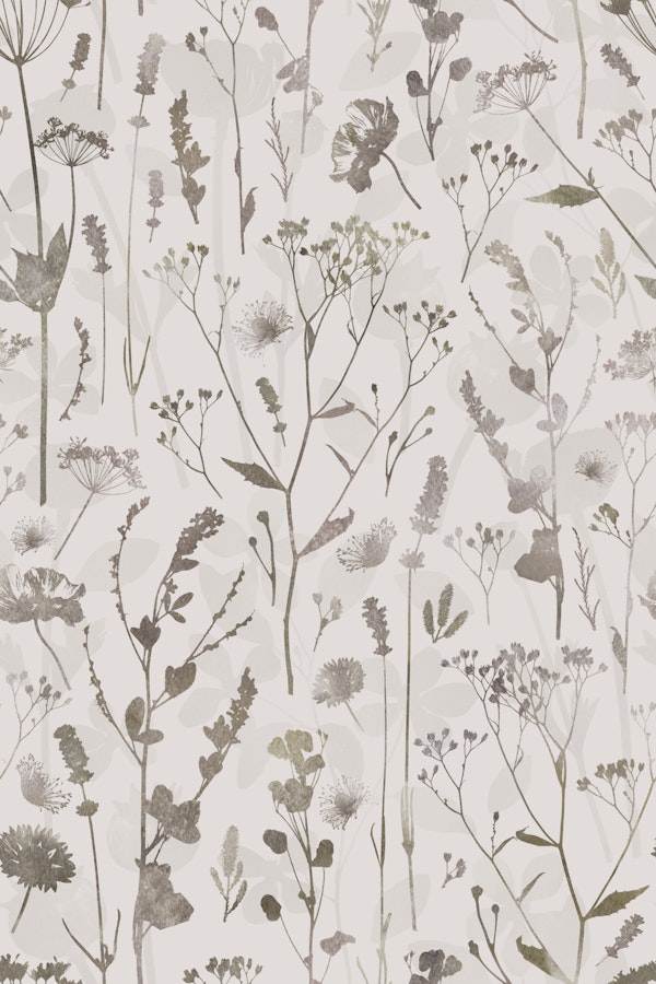 Swedish Midsummer Wildflower Meadow