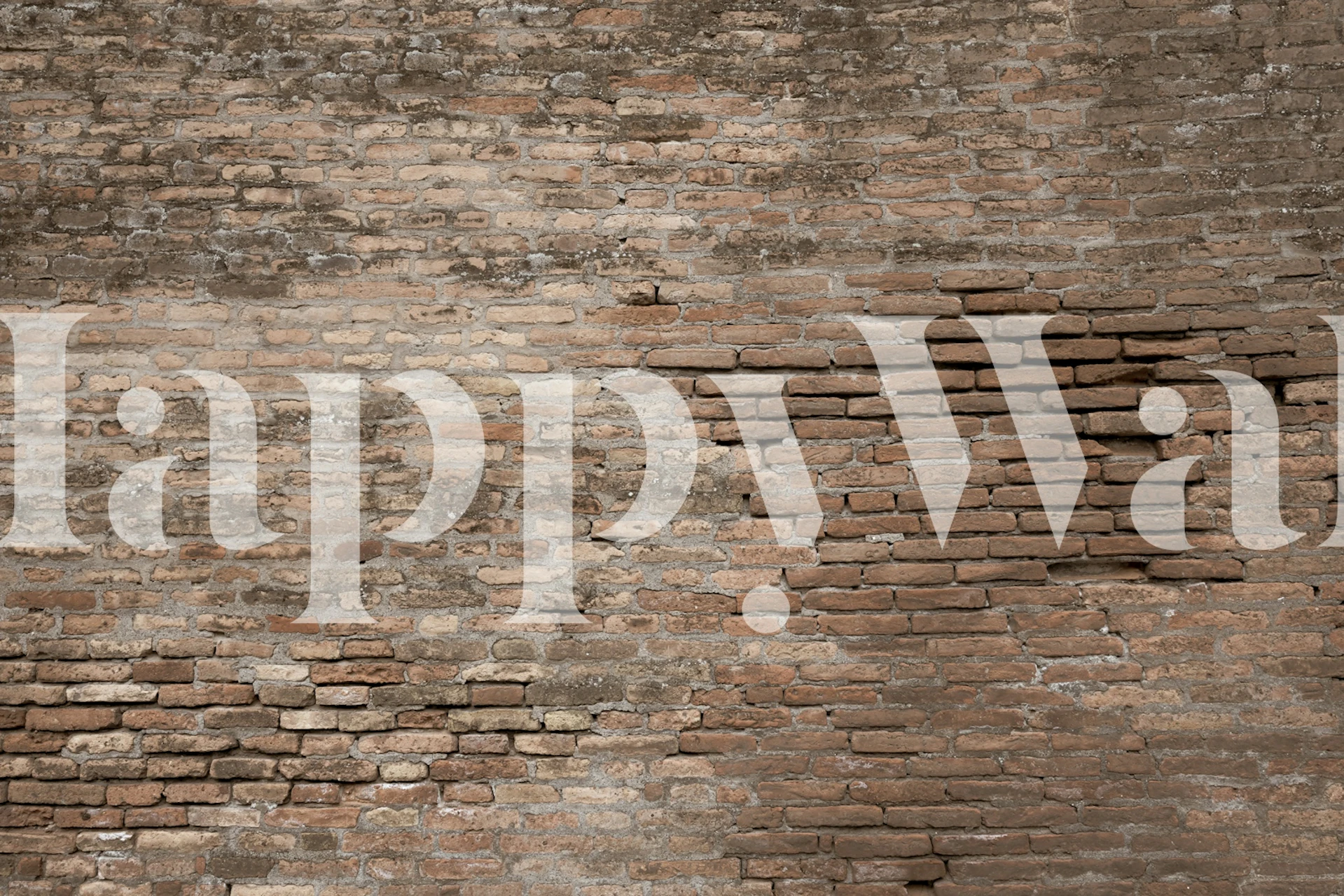 Rustic Napoli Brick Wall wallpaper in a room