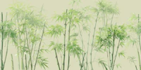 Zen Bamboo Garden wallpaper