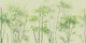 Zen Bamboo Garden