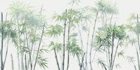 Zen Bamboo Garden 01 wallpaper