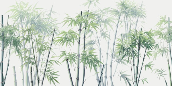 Zen Bamboo Garden 01