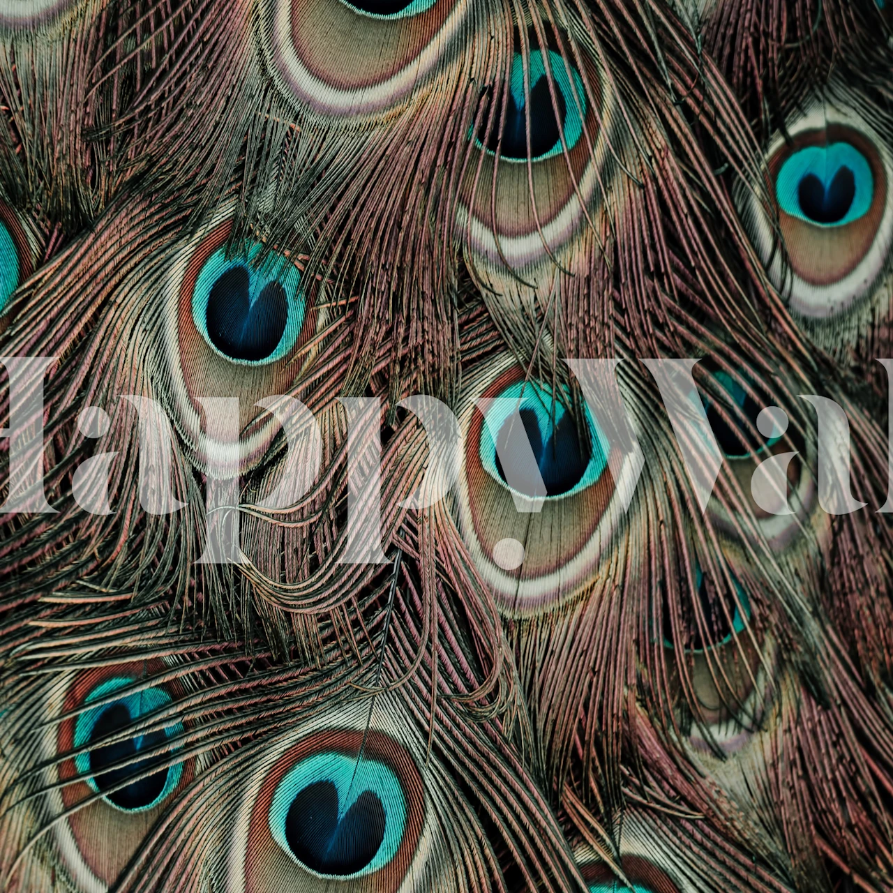 Peacock feather pattern in shades of teal and brown wallpaper