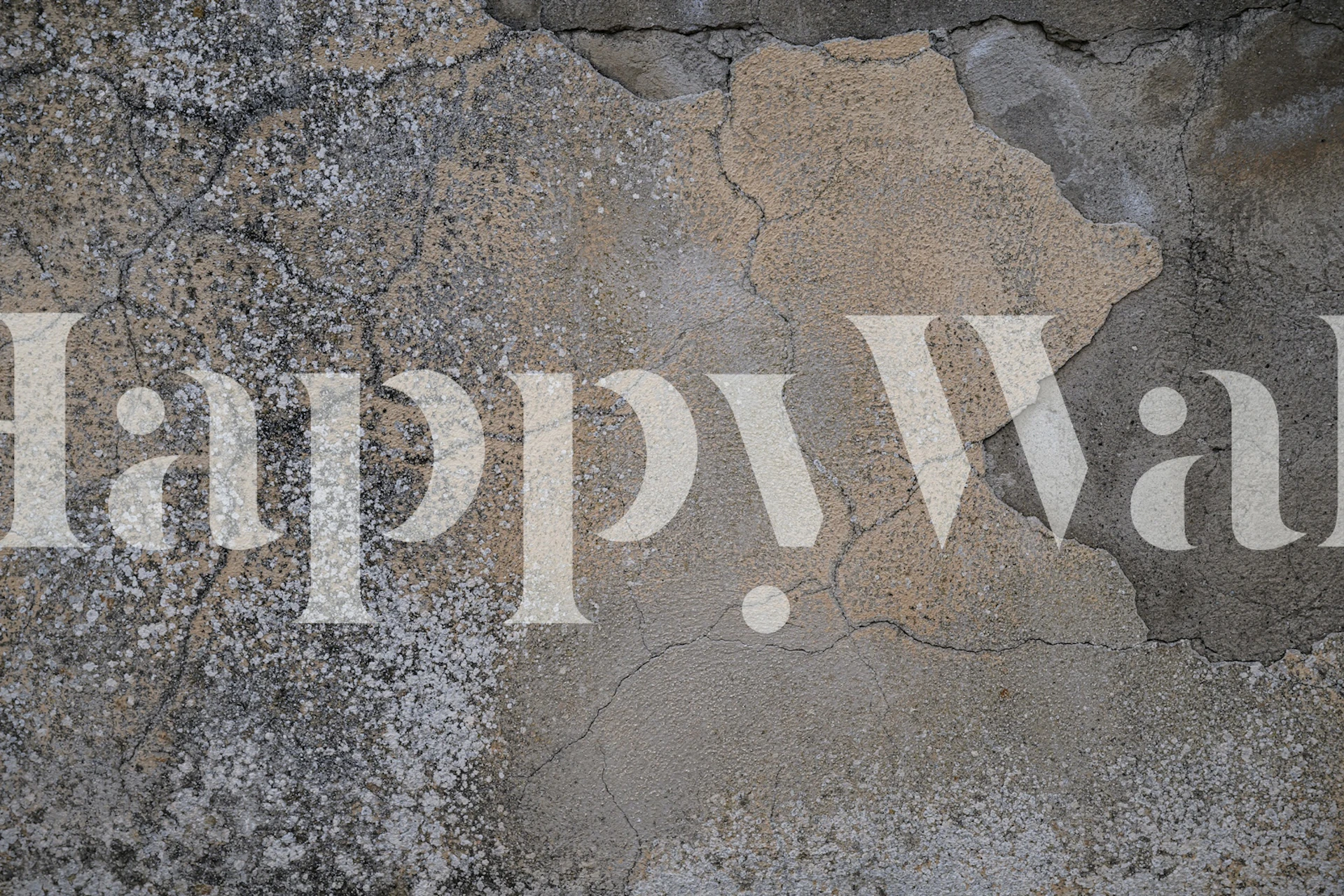 Rustic Neutral Stucco Napoli Wall 2 tapet