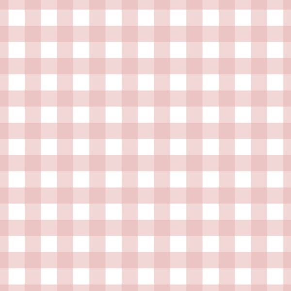 Gingham - warm rose pink on white - small