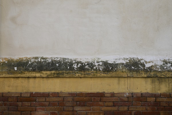 Napoli Rustic Brick and Stucco Surface 1