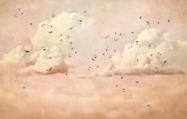 Ethereal Cloud Garden In The Sky Peach