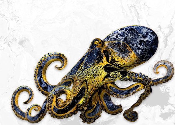 Octopus Majesty White