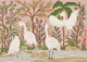 Egrets in Tropical Lagoon