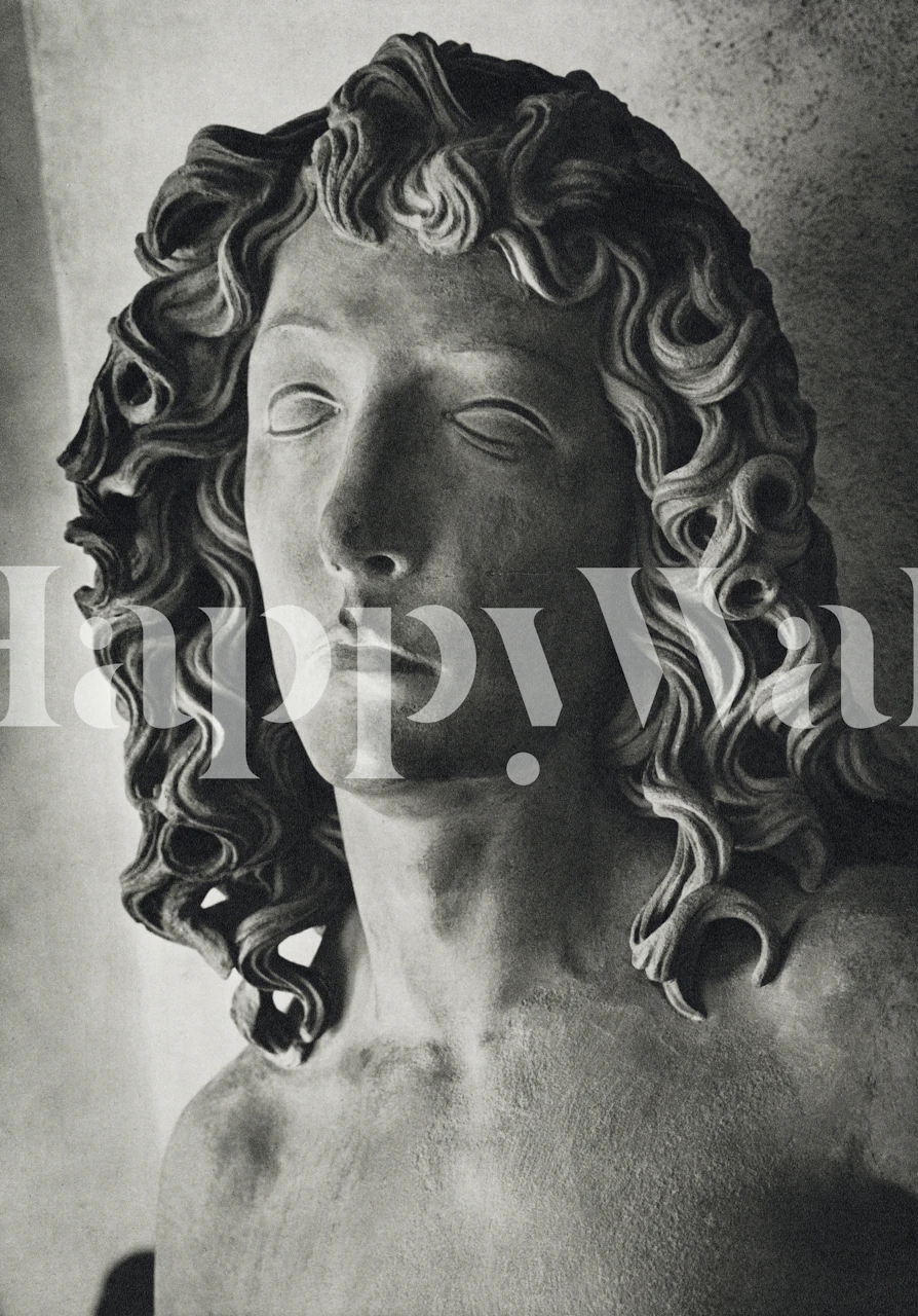 Ancient face sculpture with curly hair in black and white wallpaper