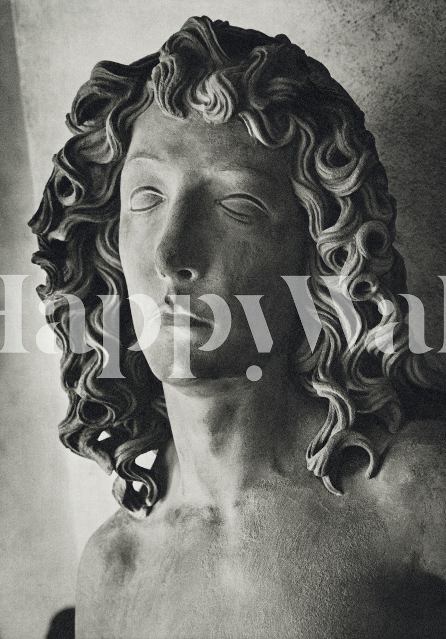 Ancient Face tapet i et stilig rom