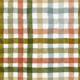 Painted Buffalo Check Dream