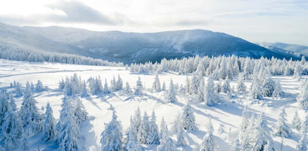 Stunning Snowy Horizon