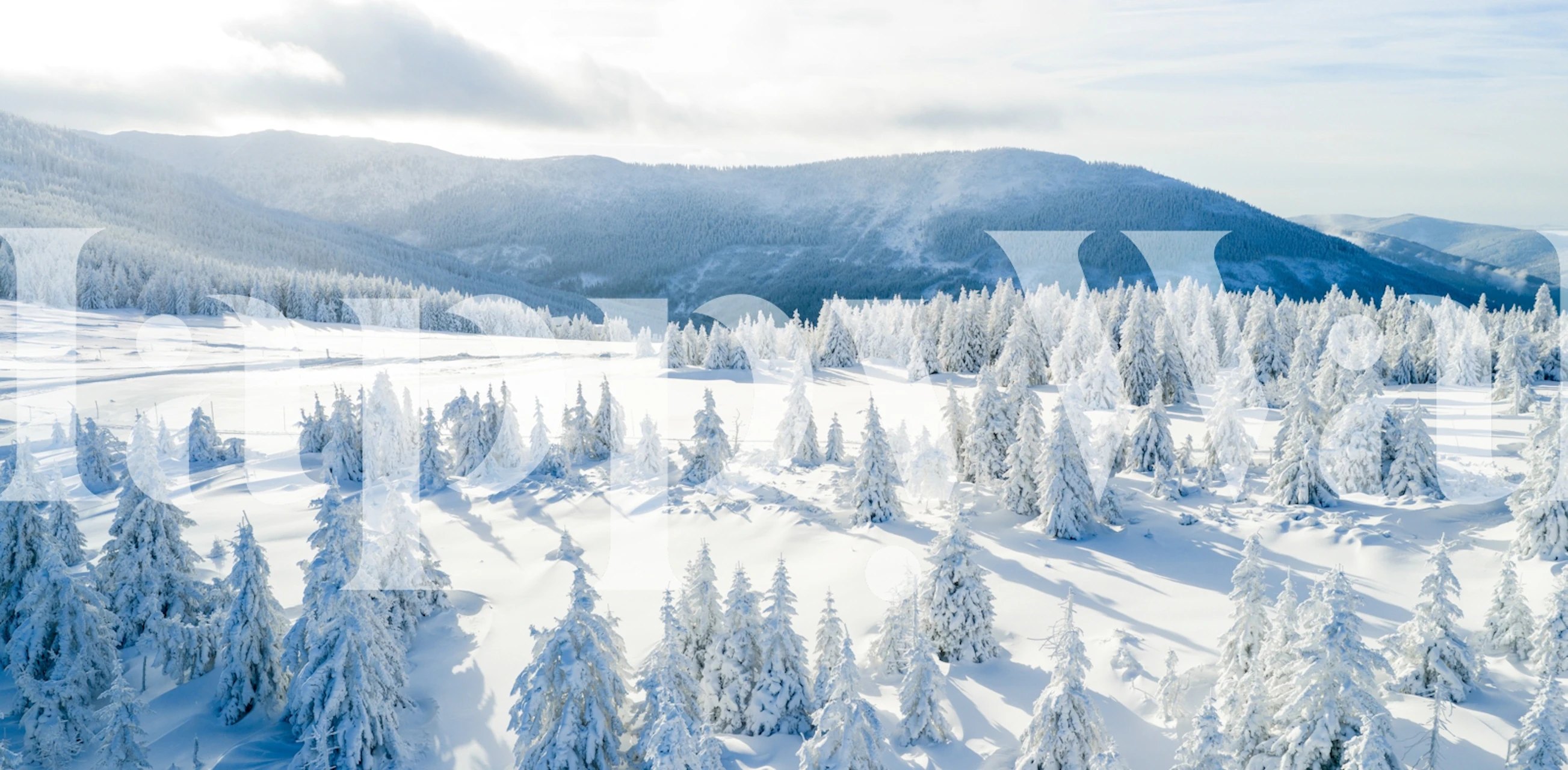 Stunning Snowy Horizon wallpaper in a room