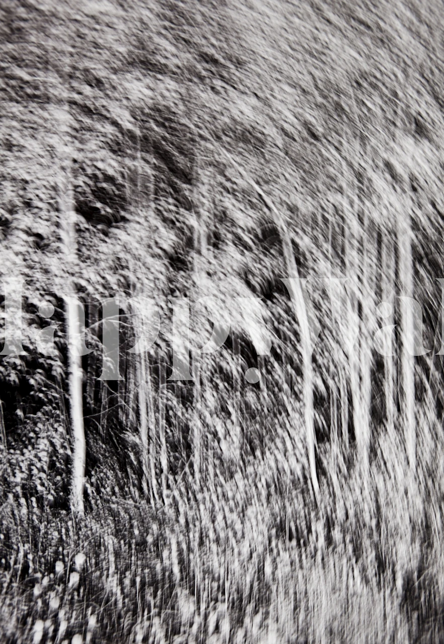 Mural abstracto en blanco y negro de un bosque con árboles borrosos que sugieren movimiento