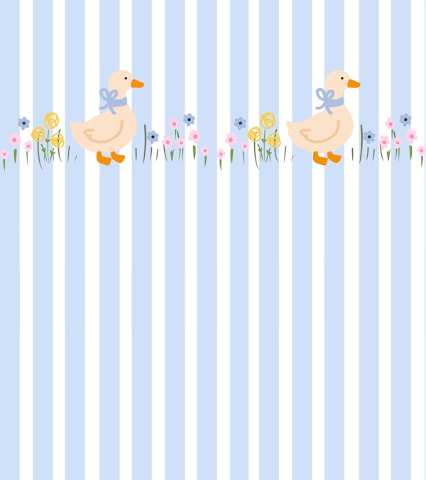 Baby Boy Nursery Goose