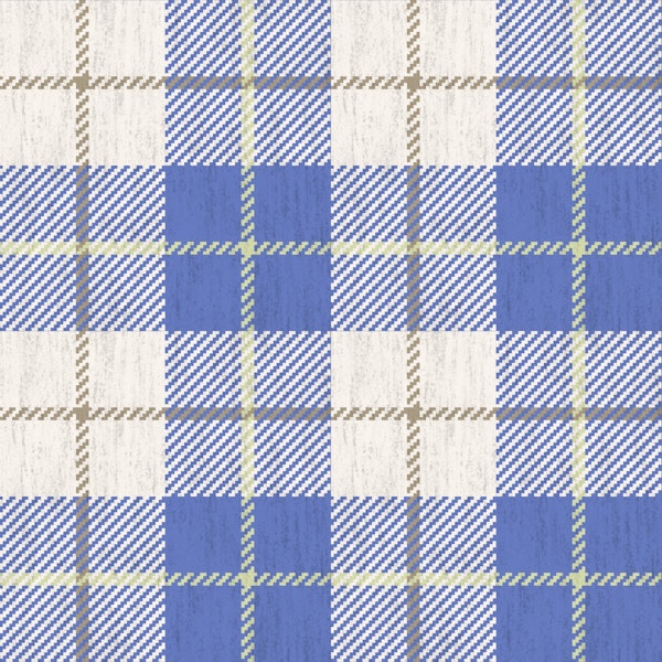 Rustic Blue Farmhouse Plaid