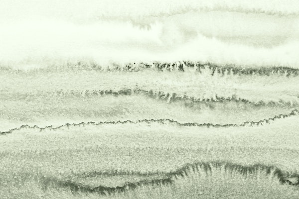 Soft Sage Wash Landscape Within The Tides
