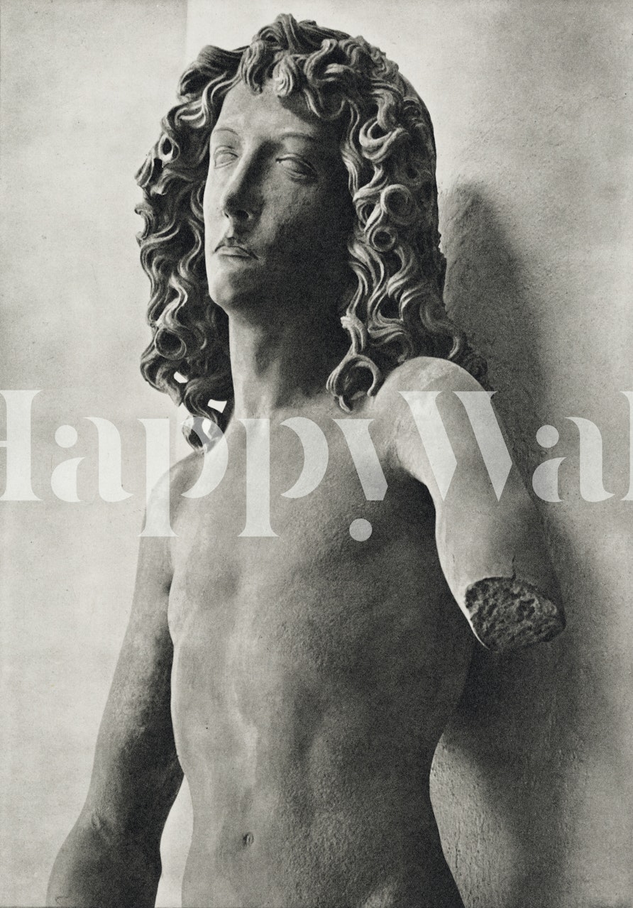 Classical male body sculpture in black and white wallpaper