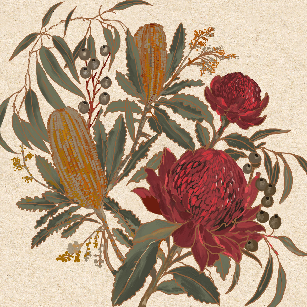 waratah