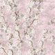 Cherry blossoms majestic pink-small