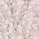 Cherry blossoms majestic pink-big