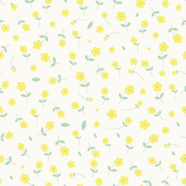 Spring Daisies on Cream