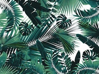 Jungle Leaves Siesta 2 behang