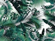 Jungle Leaves Siesta 2