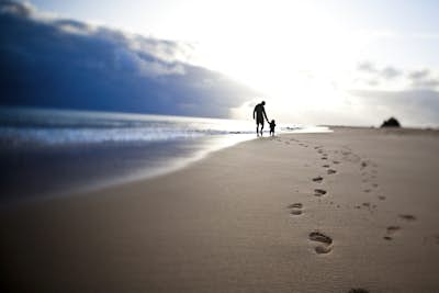 Τοιχογραφία