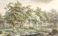 18th Century Forest Hamlet wallpaper