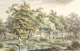 18th Century Forest Hamlet