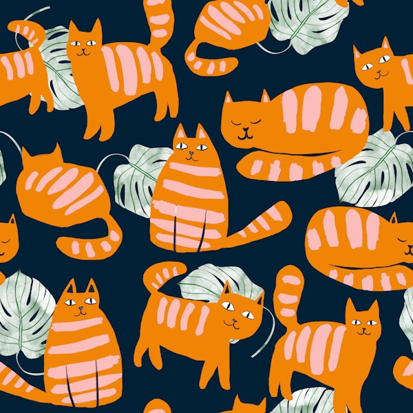 Whimsicat