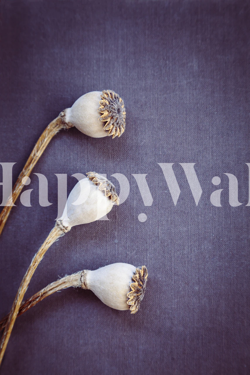 Poppy Seed Heads wallpaper displayed in a room