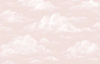 Soft Dreamy Skies wallpaper